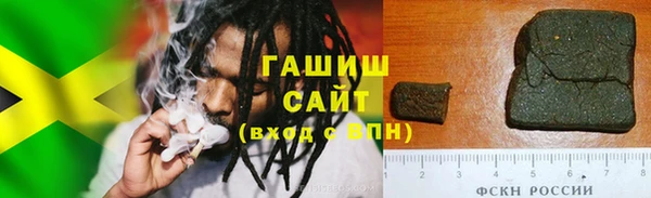 шишки Горно-Алтайск