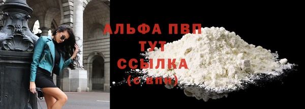 шишки Горно-Алтайск