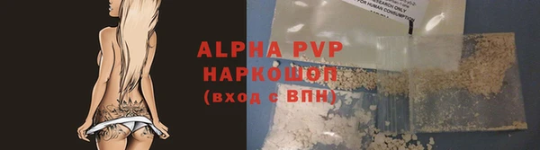 PSILOCYBIN Гусь-Хрустальный
