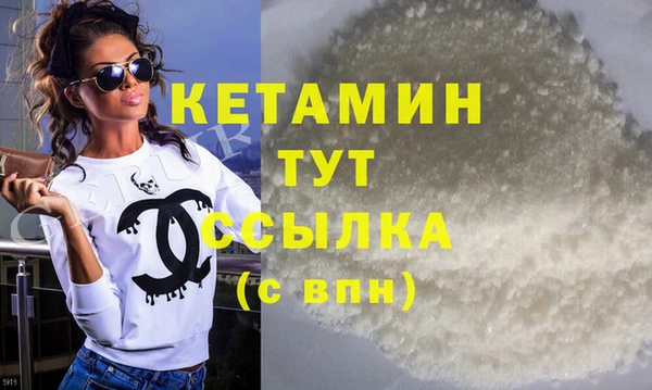 шишки Горно-Алтайск