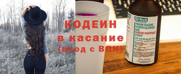 сатива Ростов