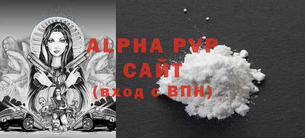 шишки Горно-Алтайск