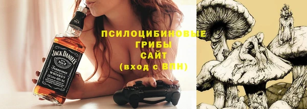 PSILOCYBIN Гусь-Хрустальный