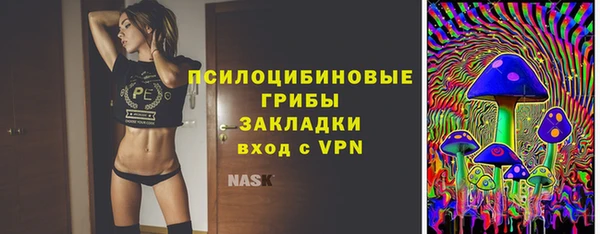 шишки Горно-Алтайск